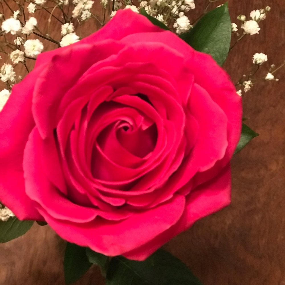 Meet your Posher, Rose